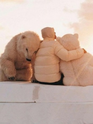 Белые медведи Moncler